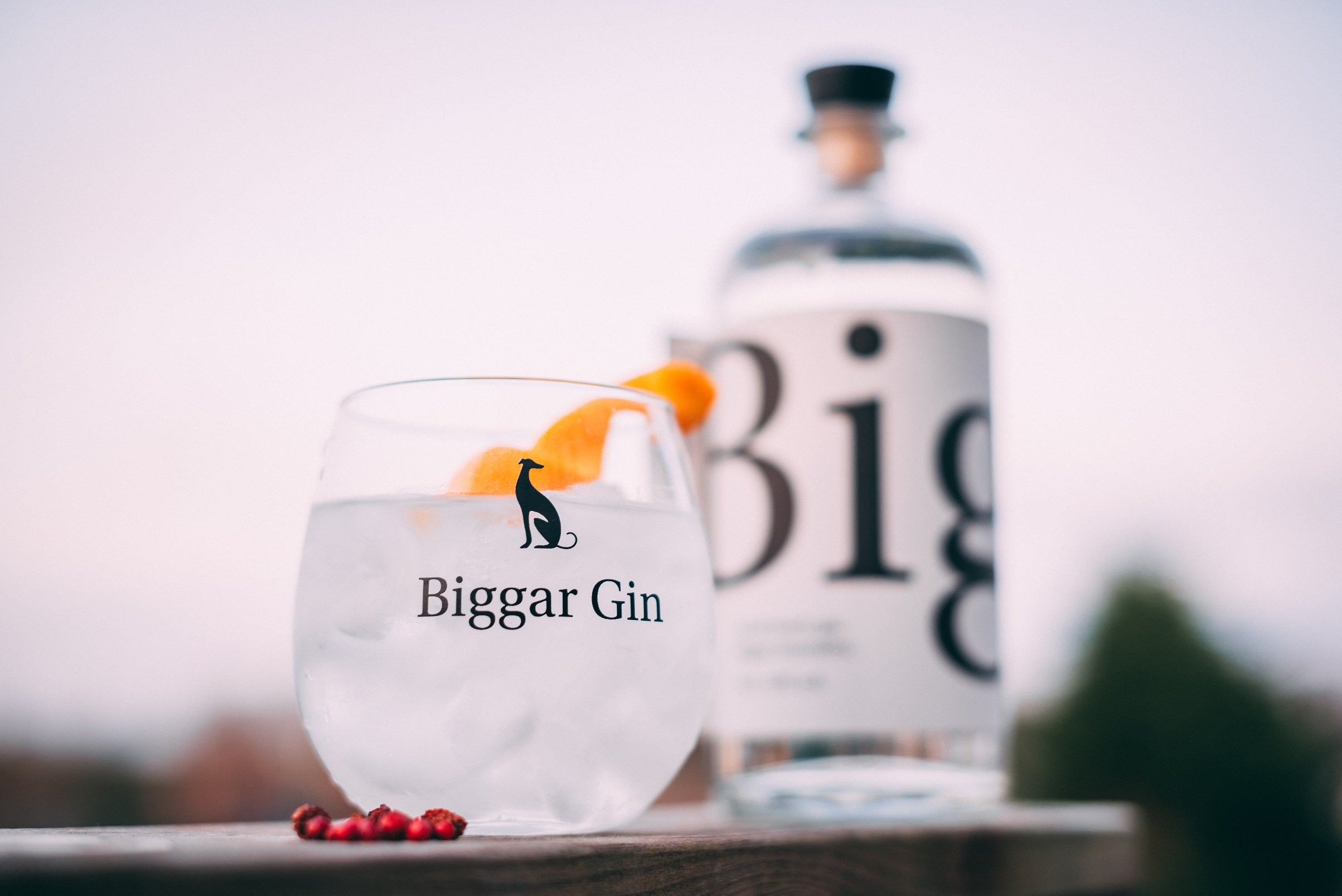 Why a Greyhound? – Biggar Gin